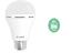 FLASH Emergency LED Bulb 230V 5W E27 Daylight 6000K 220 Lumens (Non-dimmable) 120° Beam Angle, Charging Time:5-6HRS, Working Time:4 HRS, Light will remain on during power failure. [FLSH YF/A60E275D]