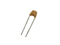 Ceramic Capacitors 2,5MM [12PF 100V 2,5MM]