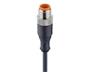 CordseT M12 A COD Male Straight, 5 Pole Single End - 2M Pure Cable 11890 [RST5-228/2M]