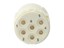 Circular Connector M23 Signal Female Crimp Insert and 6 Pole, for 2mm Contacts - 20A @ 630VAC Max. [7003906102]