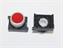 Push Button Actuator Illuminated Latching • Red Flush Lens • Metallic Silver 30mm Bezel [P301LRS]