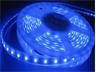 5m 12VDC Flexible 4.8W /m Waterproof 60 LED Strip SMD3528 IP54 in Blue [LED 60B 12V IP54 PURE SIL 5MT]