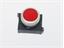 Push Button Actuator Illuminated Latching • Red Flush Lens • Metallic Silver 30mm Bezel [P301LRS]