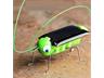 Childrens Educational Toy, Solar Powered Grasshopper Model. [EDU-TOY BMT SOLAR GRASSHOPPER]