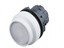 Push Button Actuator Illuminated Latching • White Lens • White 30mm High Bezel [P304LWW]