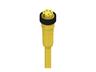 Cordset - Power 7/8" Female Stright. 5 Pole UL Single End - 5M Type Yellow Cable 5 x 1,5mm2. Conductors 9,4mm OD. 8A 600VAC IP67 [RK 50-877/5M]