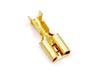 Uninsulated Spade Lug • Female • 6.3mm Stud • for Wire Range : 4.6mm² [LS05047]