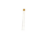 Ceramic Capacitors 2,5MM LS [120PF 100V2,5MM]
