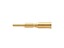 Crimp Contacts Male Au for 0,35 - 2,5 mm sq. for M17 Connectors - 20A @ 630VAC MAX. [M17-MC20G-2.5]
