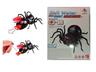 Build Your Own Salt Water Powered Spider Robot - Science Toy. A Futuristic Robotic Spider! Just Add Salty Water And The Spider Turns It Into Electrical Energy To Drive Its Motor. No Batteries Required! Age 6+. [EDU-TOY BMT SALT WATER SPIDER]