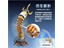 Soft Tube Arm Kit - MANNY THE GARDEN EEL - 2 MODES "Fish Head Mode+" and "Claw Mode" [PRK GE-731]