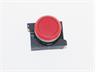 Push Button Actuator Illuminated Momentary • Red Flush Lens • Red 30mm Bezel [P301MRR]
