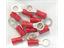Ring Terminals Pre Packed Lugs • 10 per Pack • for Wire Range : 0.34 to 1.57 mm² • Red [OYSTPAC 2]