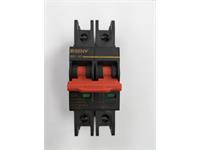 ZJBENY PV DC Circuit Breaker 2P 32A 6KA, Rated Working Voltage:600VDC, Insulated Voltage:1200VDC, Max Rated Current 63A, Curve Type:B, Connection Terminal IP20 [CIRCUIT BREAKER BB1-32A]