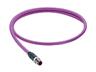 Cordset - Profibus M12 B COD Male Straight. 5 Pole - Single End - 5M PUR Violet Cable 7.6mm OD. IP67 (12501) [0975 254 102/5M]