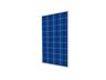 Solar Panel 100W 18.0V @ 5.56A OCV:22.30V SCC:5.95A Polycrystalline 995x680x30mm 10kg [SOLAR PANEL CINCO 100W]