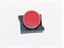 Push Button Actuator Illuminated Momentary • Red Flush Lens • Red 30mm Bezel [P301MRR]