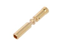 Circular Connnector M23 Power Female Crimp Machined Contacts and 2mm for 0,75-2,5mm Square Wire [7010942002]