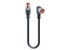 Cordset M12 A COD 3 Pole Male Striaght- 3 Pole Female Right Angled with Dual PNP LED Indication Screw Lock -0,75m PUR Cable (78267) [RST 3-RKWT/LED A 4-3-224/0,75 M]