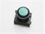 Push Button Actuator Illuminated Latching • Green Flush Lens • Black 30mm Bezel [P301LG]