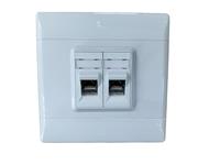 Wall Mount Face Plate 4X4 PVC 8W RJ45 Dual CAT6A, Includes Keystone & Collar [NY-SA8P8C6ADW]
