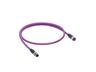 Cordset - Profibus M12 B COD Female Straight. 5 Pole - Single End - 5M PUR Violet Cable 7.6mm OD. IP67 (12506) [0975 254 103/5M]