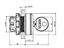 Key Switch Actuator • 30mm Standard Bezel • 1 Inlet -3 pos., Left Mom. 45° Right Latching 90° [K309ML3VL1]