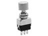 4A 30VDC Push Button Switch • Double Pole • Solder Lug Termination [13445AK]