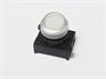 Push Button Actuator Switch Illuminated Momentary • White Raised Lens • Metallic Silver 30mm Bezel [P302MWS]