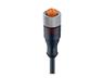 Cordset M12 A COD Female Straight. 5 Pole - Single End - 10m PUR Cable IP67 (17046) [RKT5-228/10M]