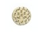 Circular Connector M23 Signal Male Solder Insert - 17 Pole, for 17x 1mm Contacts - 8A @ 400VAC Max. [7001917103]