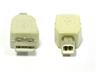 USB Adaptor • Type A-Male ~to~ Type B-Male [XY-USB41]