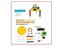 Stem Educational Kit, Includes Croc Clips, Cables, Voltmeter, LED as well as Copper and Zinc Conductive Strips. Learn the science behind the power. Test Using Apples, Oranges, Pineapple, and Potatoes . [EDU-TOY GRAFFITI ROBOT KIT]