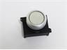 Push Button Actuator Switch Illuminated Momentary • White Flush Lens • Metallic Silver 30mm Bezel [P301MWS]