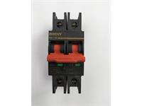 ZJBENY PV DC Circuit Breaker 2P 63A 6KA, Rated Working Voltage:600VDC, Insulated Voltage:1200VDC, Max Rated Current 63A, Curve Type:B, Connection Terminal IP20 [CIRCUIT BREAKER BB1-63A]