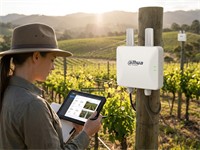 DAHUA 5GHz N300 15dBi Outdoor Wireless CPE 3KM [DHA PFWB5-30N]