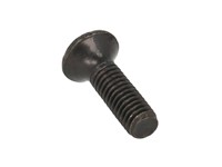 Replacement Screws M3 - 0,5 X 10MM (100/Pack) [1591MS100BK]