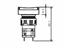 18x24mm Rectangular Push Button Switch Illuminated Alternative • IP40 • Solder • 1P [P1824L1S]