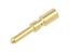 Circular Connector M23 Single Male Crimp Machined Contacts and 2mm for 0,75-2,5mm Square Wire [7010902001]