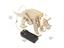 Mechanical Triceratops [EDU-TOY TRICERATOPS DINOSAUR]