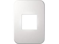 One Double Module Cover Plate (White) [V6103WT]