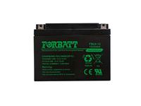 Rechargeable Battery 12V24AH (L=166 W=175 H=126mm) F3 Terminal ID:5.4mm for M5 Bolt & Nut, 7.51kg [BATT 12V24 FBT]