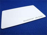 EM4100 125KHZ RFID CARD [AZL RFID CARD 125KHZ]