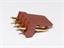 2.54mm Crimp Wafer in Brown • with Friction Lock • 4 way in Single Row • Straight Pins [CX4030-04A MOLEX]