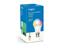 TP-LINK Tapo Smart WiFi Light Bulb Multicolour B22 8.3W, Colour Temp Range: 2500-6500K, 806 Lumens, Dimmable VIA APP & Voice only, WiFi Frequency:2.4ghz ieee 802.11b/g/n, 15000 Switching Cycles, Light Beam Angle 220°, Lifetime:25000 HRS, 220~240VAC [TP-LINK TAPO L530B]