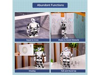 Programmable Tonybot Humanoid Robot Standard Version Assembled for Arduino [TONYBOT HUMANOID ROBOT STANDARD]