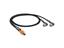 Cordset M12 A COD DUO Male Straight. 3 Pole to Dual 3 Pole Angled Female with LED Indcator - Double End - 1M PUR Cable IP67 (43584) [ASB 2-RKWT/LED A 4-3-224/1 M]