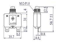 Circuit Breaker Ressetable 40A 250VAC [A0701 40A]