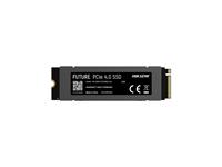Hiksemi Future Lite 2TB Gen4 M.2 NVMe 3D NAND SSD, PCIe 4.0 NVMe Technology, Read Speed Up To 7,100MB/s, MTBF: 2,000,000 Hours, O/S Supported: Windows® 7/8.0/8.1/10, 7g [HKV HS-SSD-FUTURE-L-2048GB]