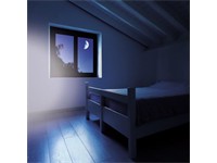 LED Rechargeable Portable Emergency Light [MAJ RSL216]